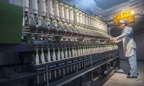 作為啤酒業(yè)的佼佼者,青島啤酒是如何維護(hù)自身品牌的