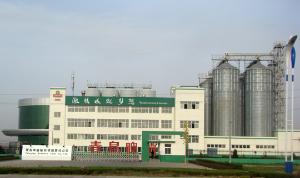 青島啤酒榆林 有限責任公司