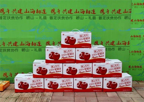 駐地干部現場 帶貨 ,扶貧協作農特產品走上啤酒節