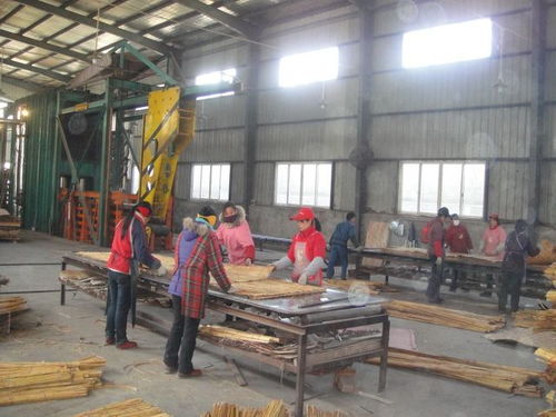 竹膠板設備竹膠板壓機生產廠青島國森機械